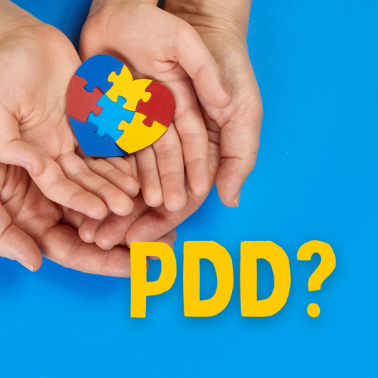 SensoryToyKing what is PDD?