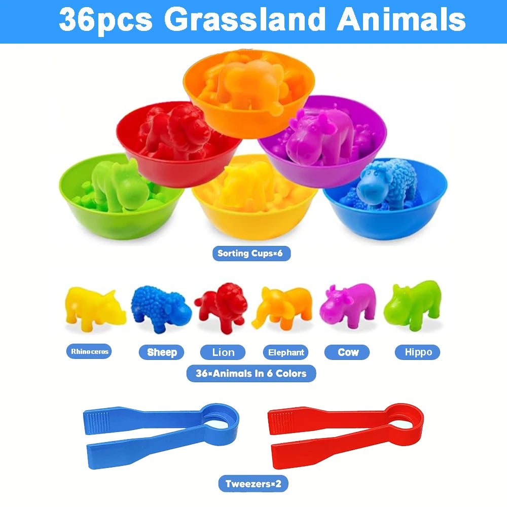 Montessori Animal Sorting set