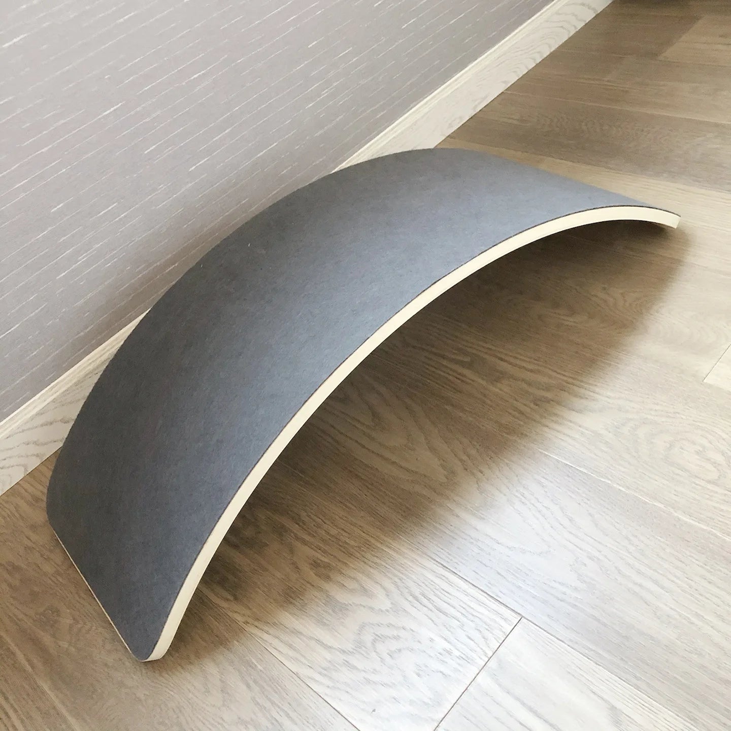 Surf Balance Board
