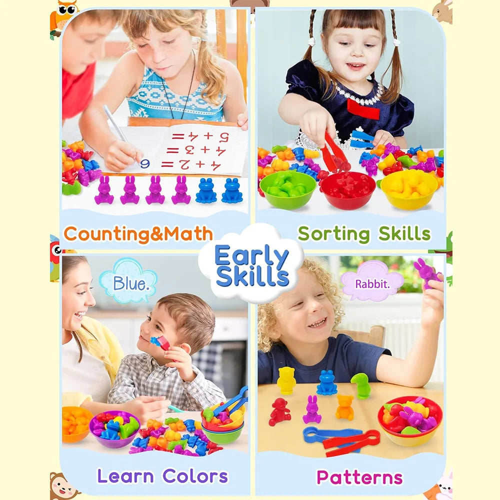 Montessori Animal Sorting set