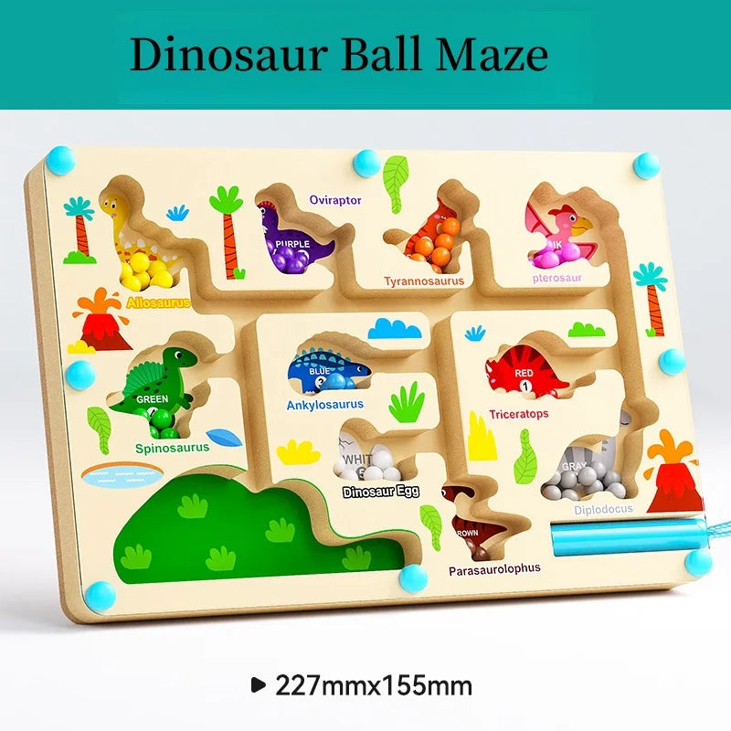 Magnetic Maze