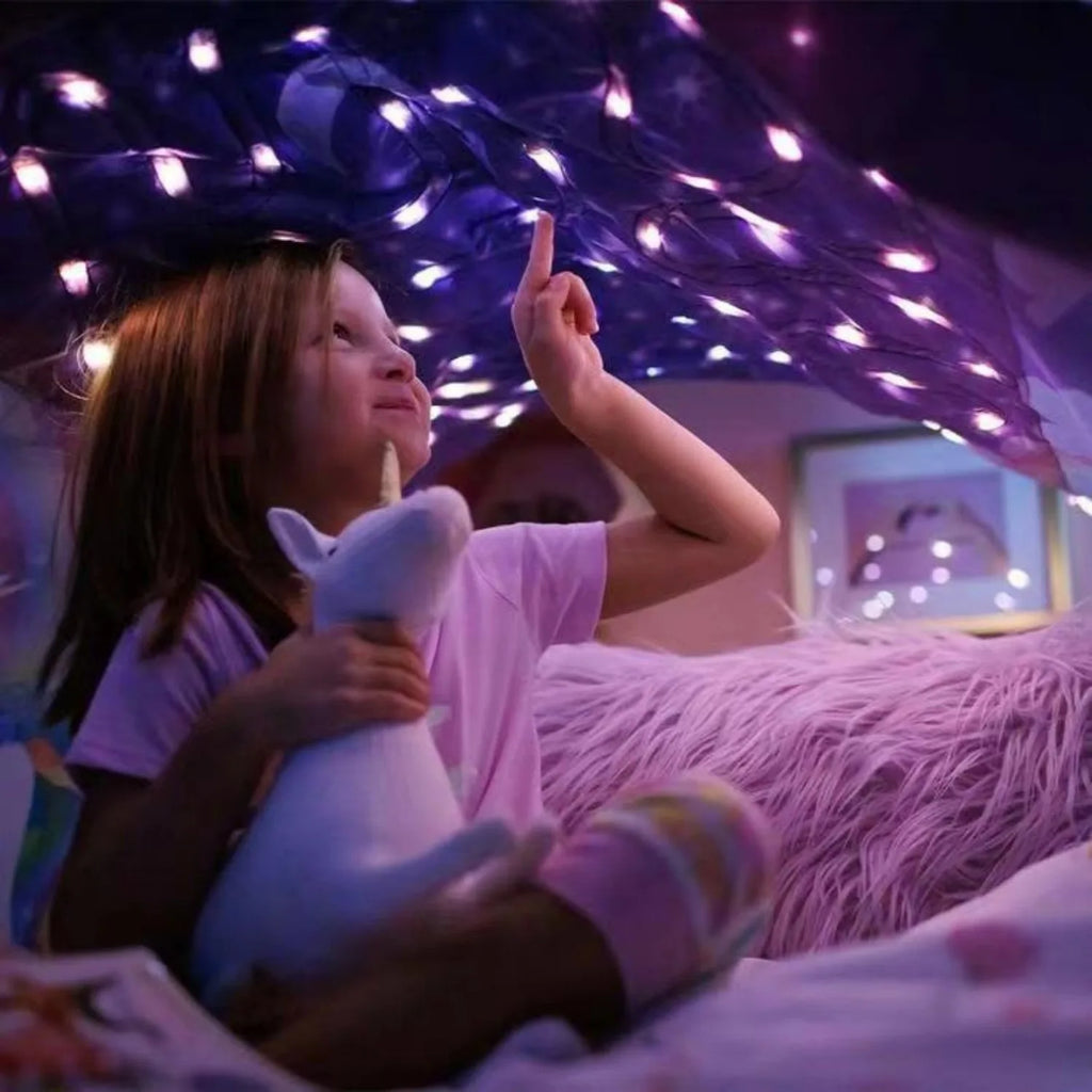 Funy Dream Tent with light