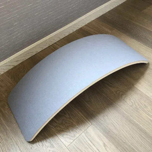 Surf Balance Board