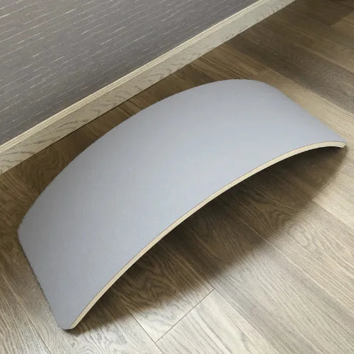 Surf Balance Board